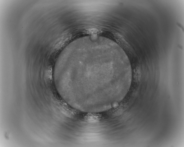 X0000102240368200808151759