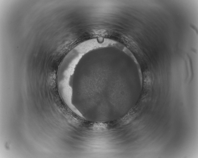 X0000102240369200808151759