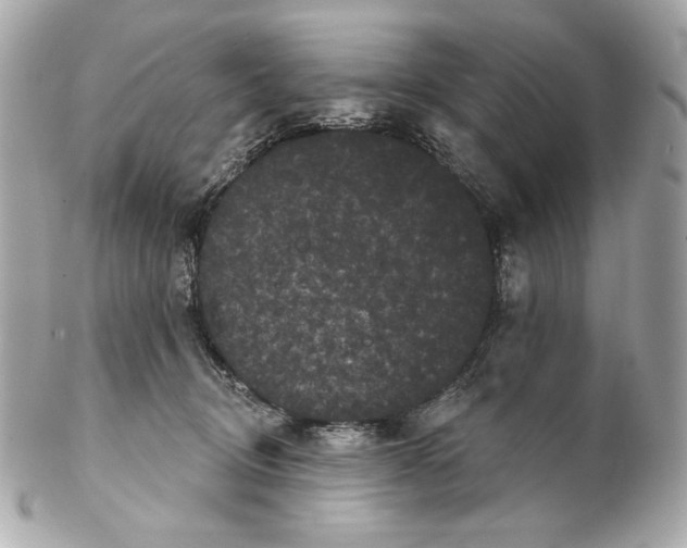 X0000102240370200808151759