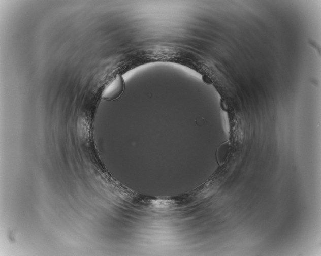 X0000102240371200808151759