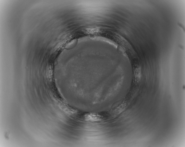 X0000102240372200808151759