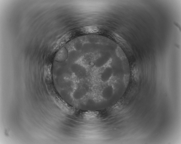 X0000102240373200808151759