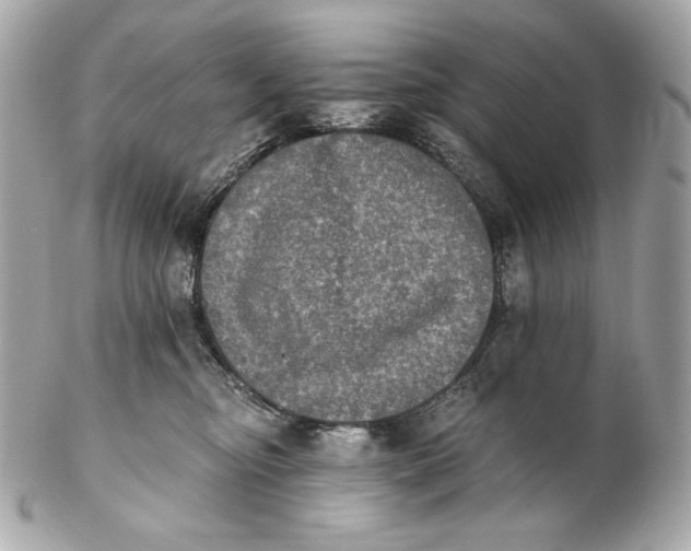 X0000102240374200808151759