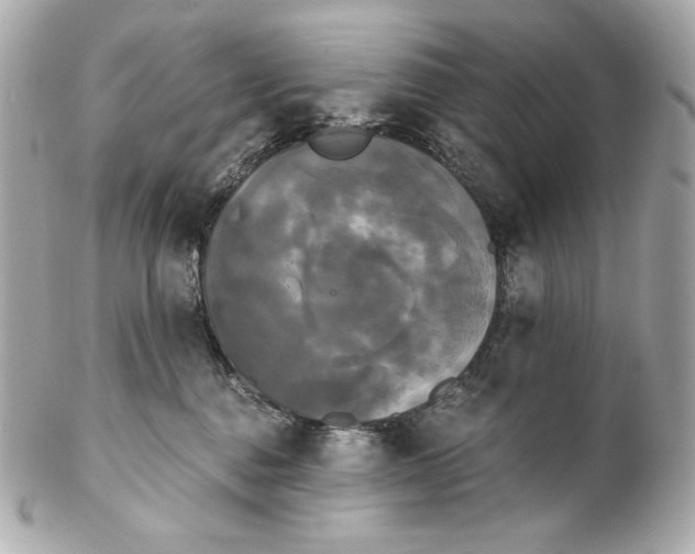 X0000102240376200808151759