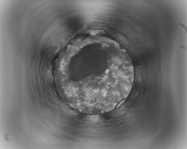 X0000102240377200808151759