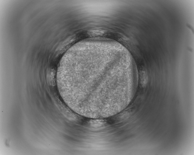 X0000102240378200808151759