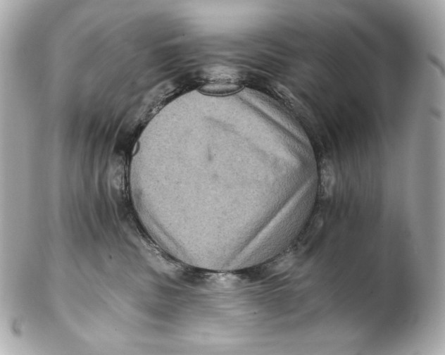 X0000102240379200808151759