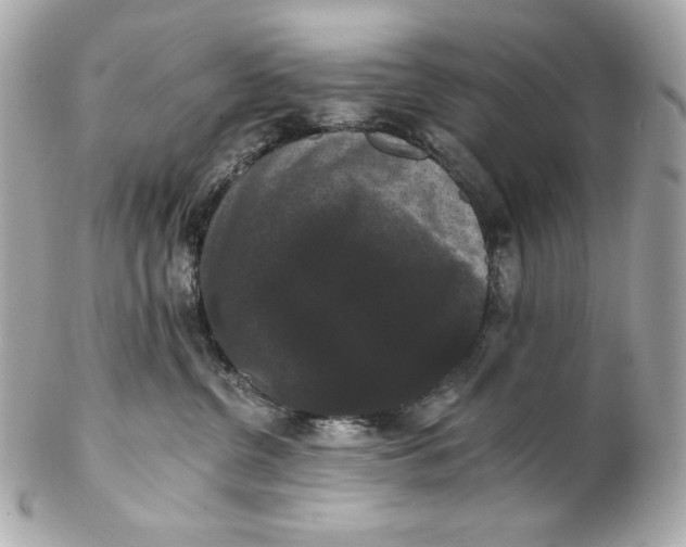 X0000102240380200808151759