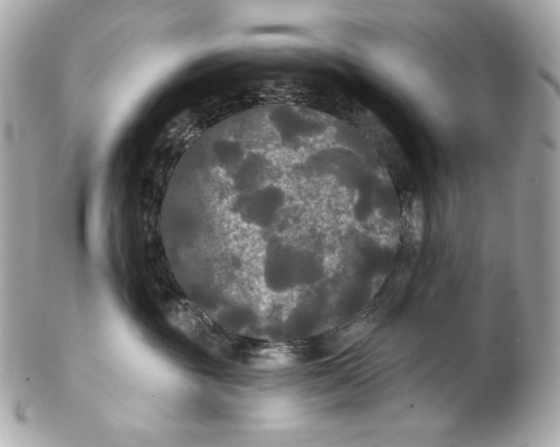 X0000102240381200808151759