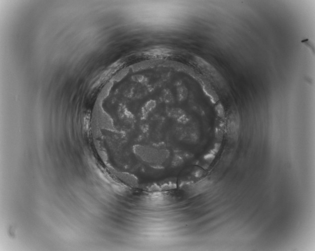 X0000102240382200808151759