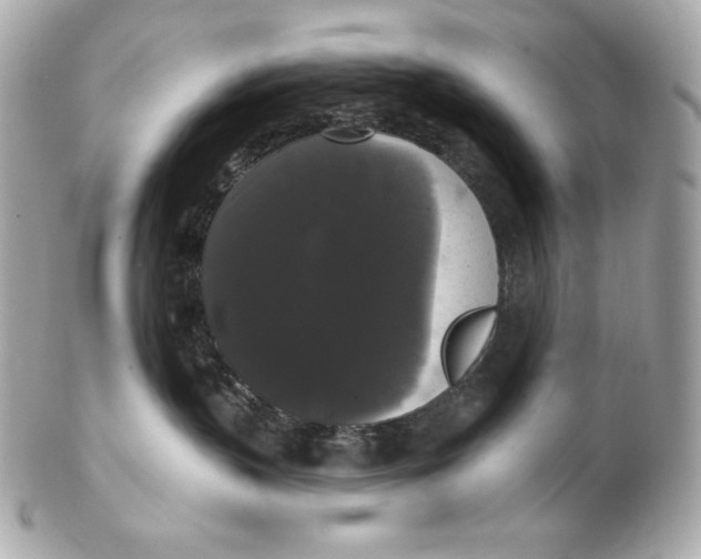 X0000102240383200808151759