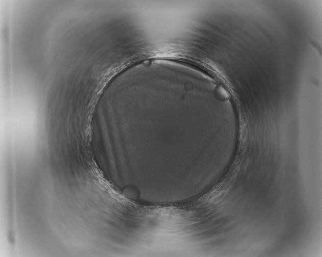 X0000102240385200808151758