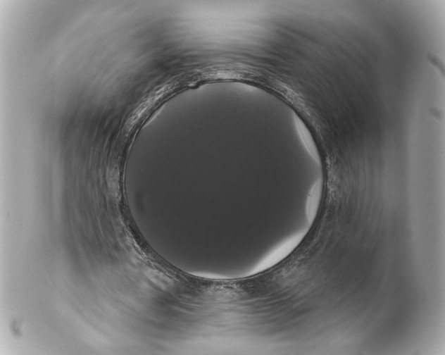 X0000102240386200808151758