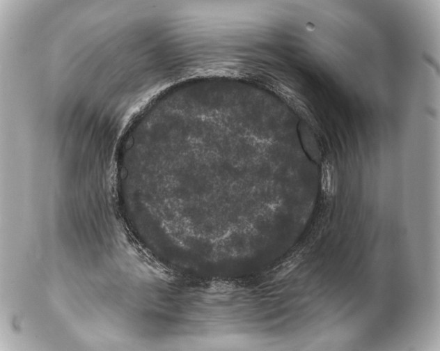 X0000102240388200808151758