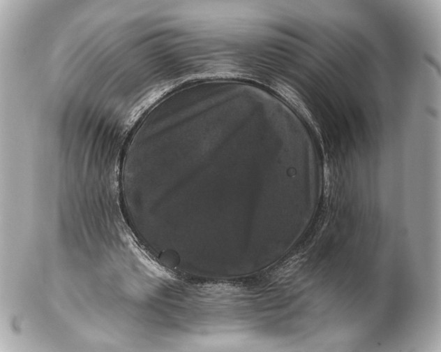 X0000102240389200808151758