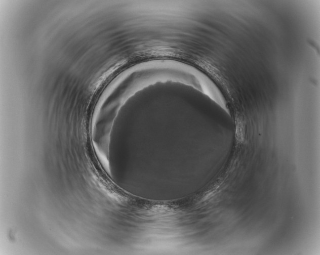 X0000102240390200808151758