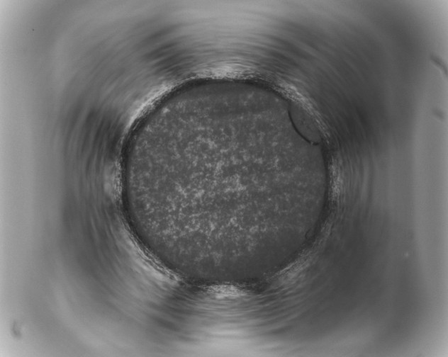 X0000102240392200808151758