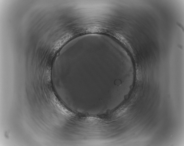 X0000102240393200808151758