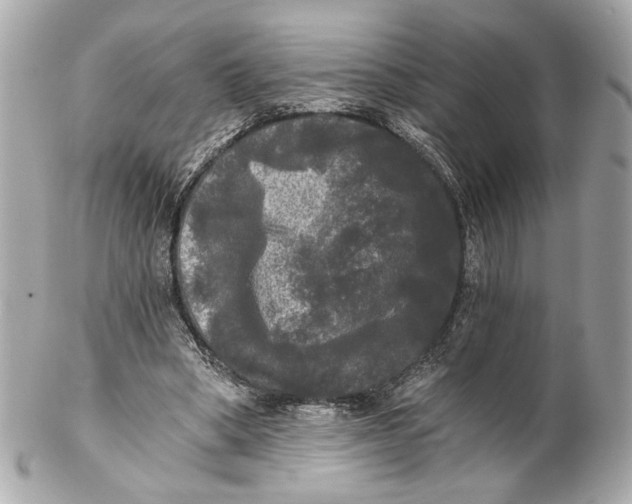 X0000102240394200808151758