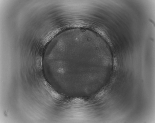 X0000102240397200808151758