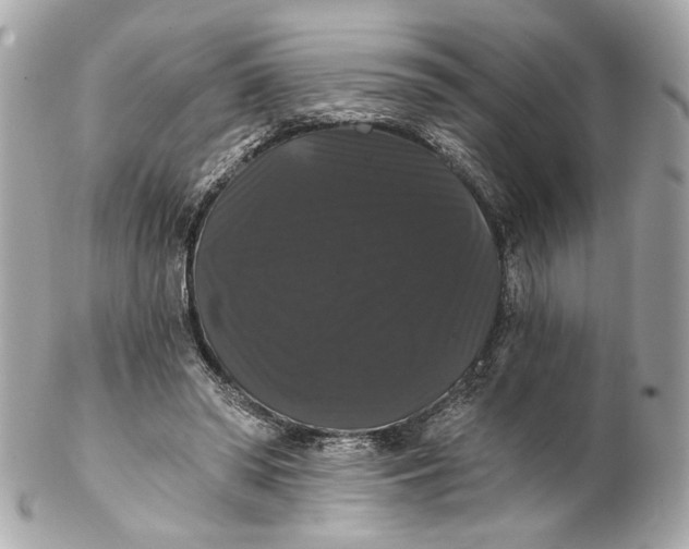 X0000102240398200808151758