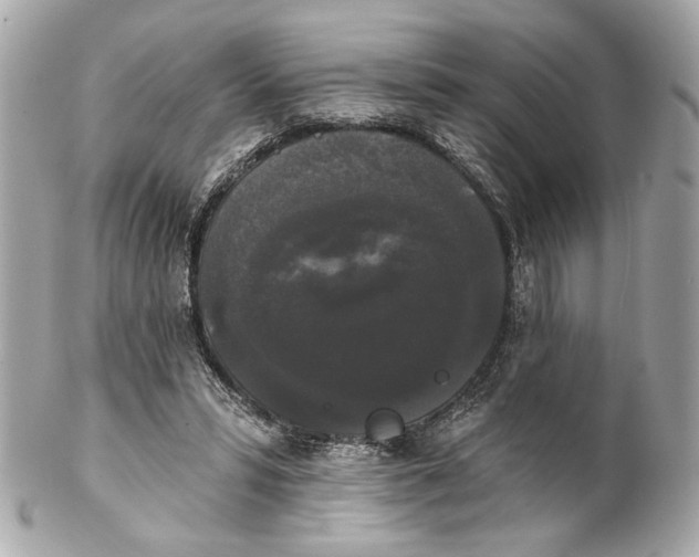 X0000102240399200808151758