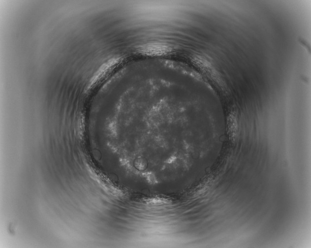 X0000102240400200808151758