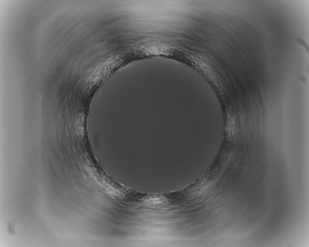 X0000102240402200808151758