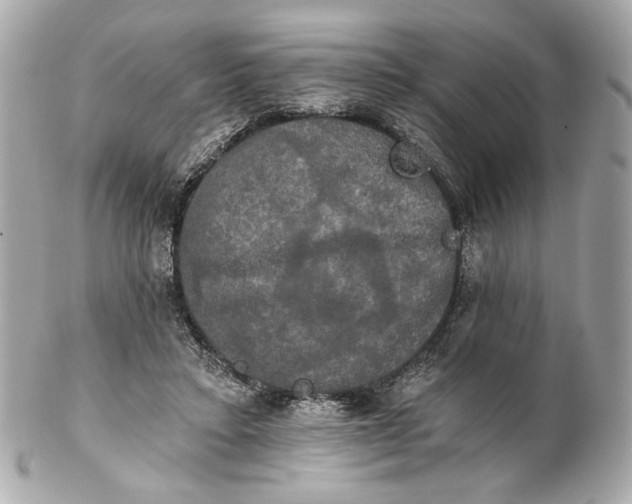 X0000102240403200808151758