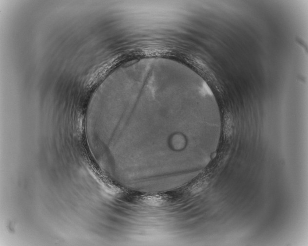 X0000102240405200808151758