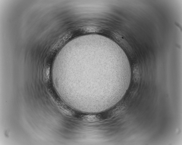 X0000102240406200808151758