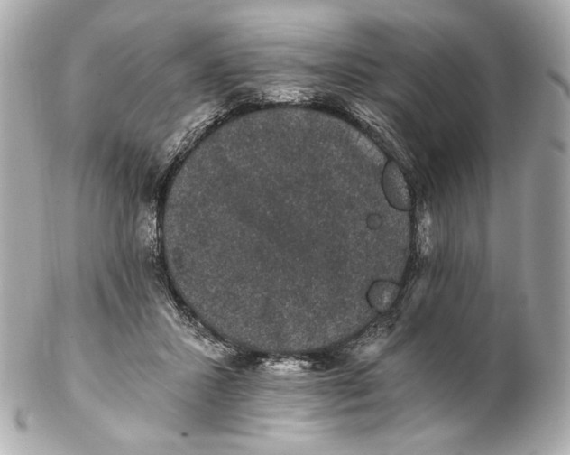 X0000102240407200808151758