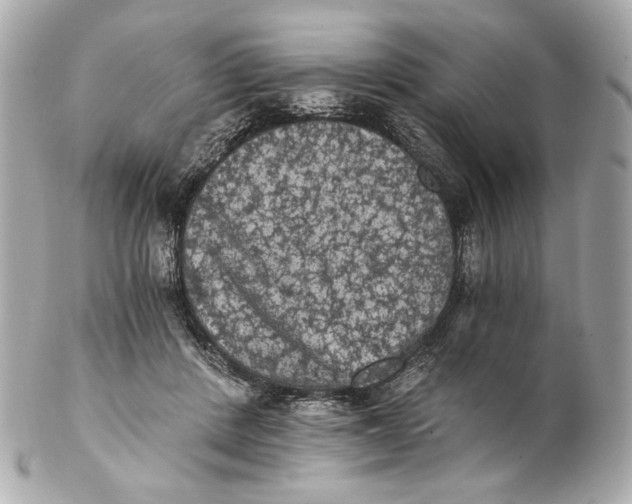 X0000102240408200808151758