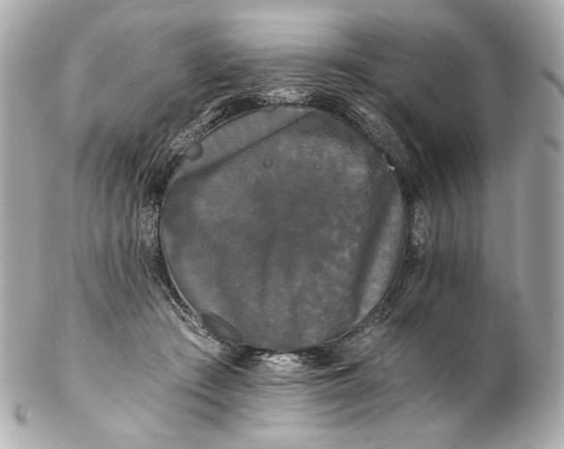 X0000102240409200808151758