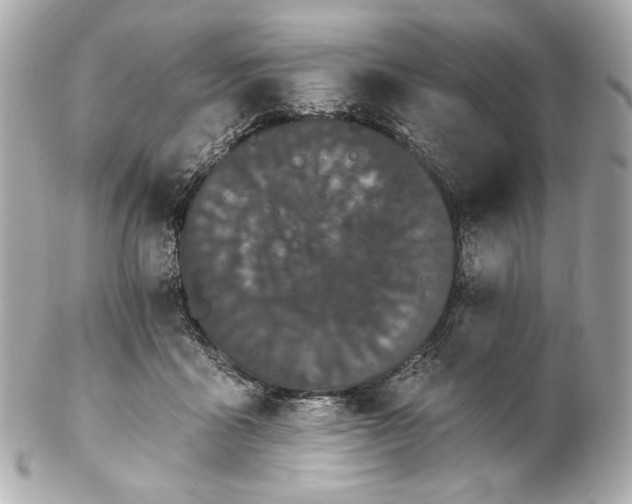 X0000102240411200808151758