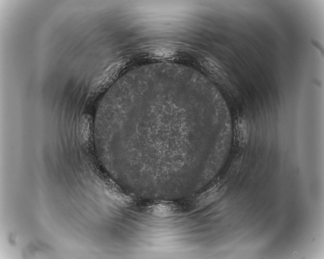 X0000102240412200808151758