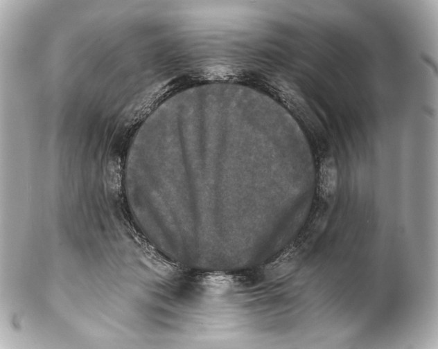 X0000102240413200808151758