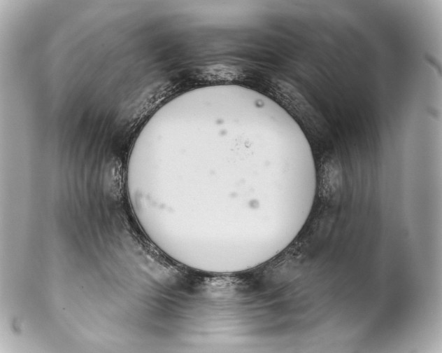 X0000102240414200808151758