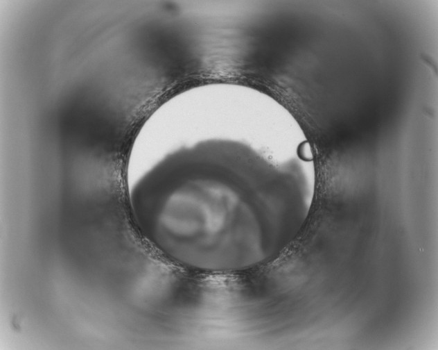 X0000102240415200808151758