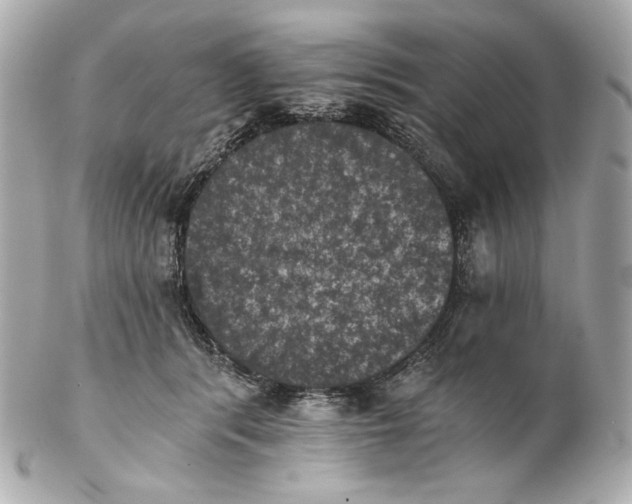 X0000102240416200808151758