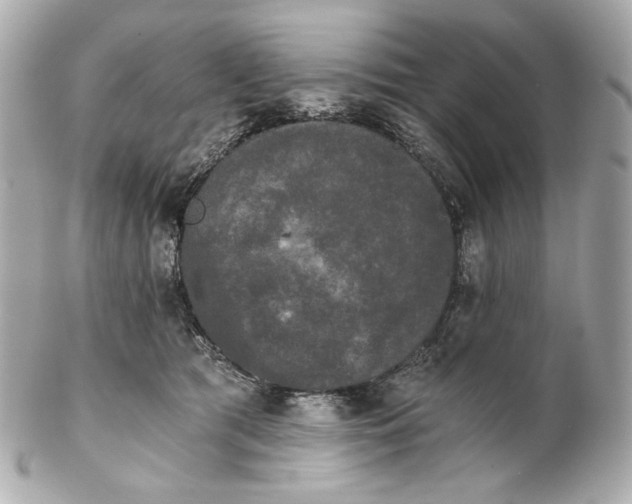 X0000102240417200808151758