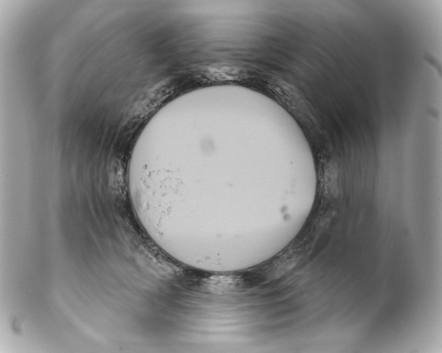 X0000102240418200808151758