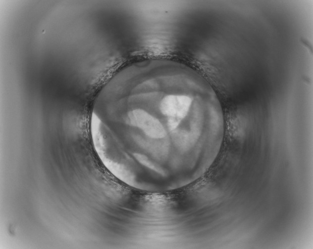 X0000102240419200808151758