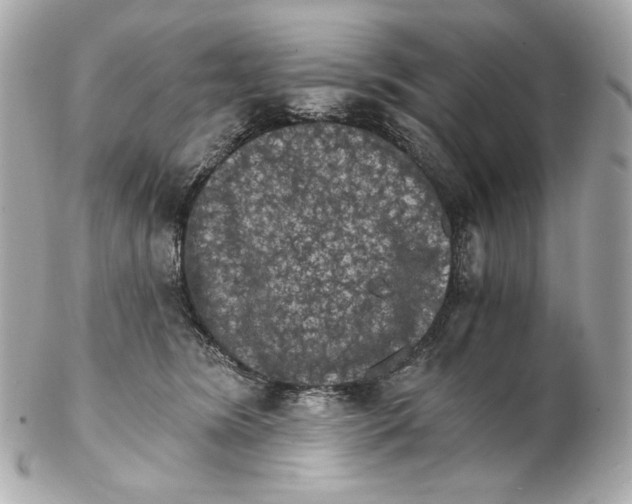 X0000102240420200808151758