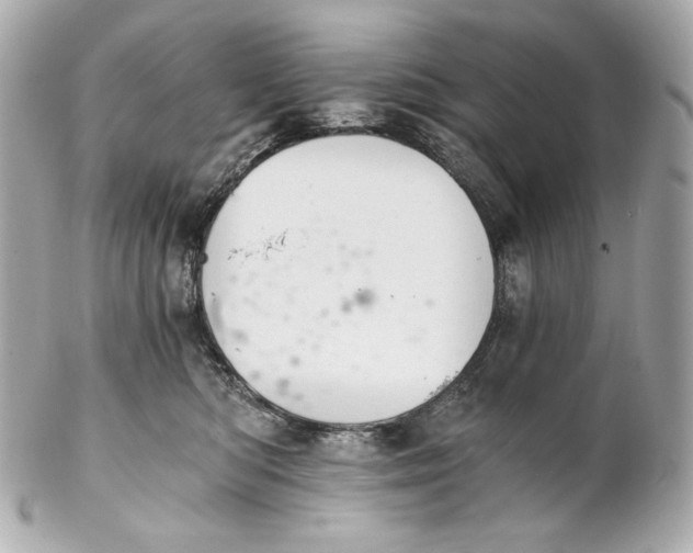 X0000102240422200808151758