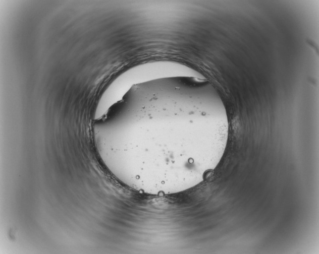 X0000102240423200808151758