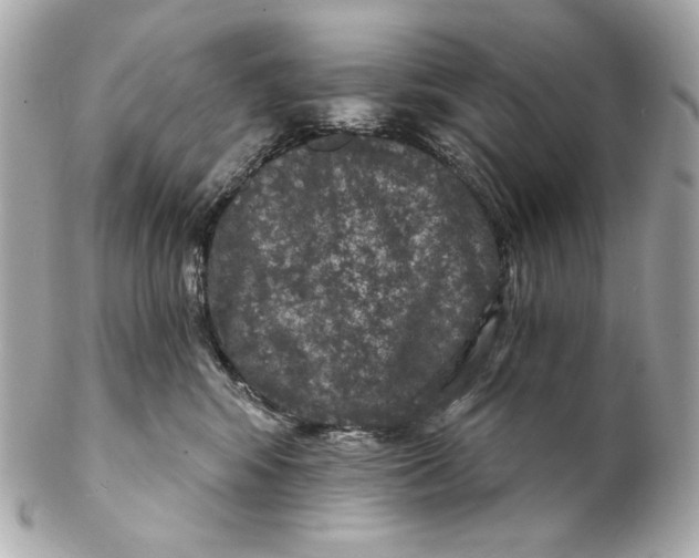 X0000102240424200808151758