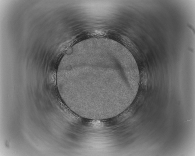 X0000102240425200808151758