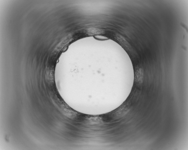 X0000102240426200808151758