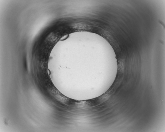 X0000102240430200808151758